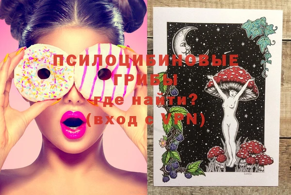стафф Аркадак
