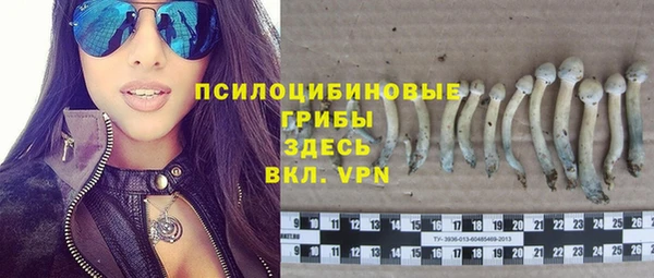 стафф Аркадак